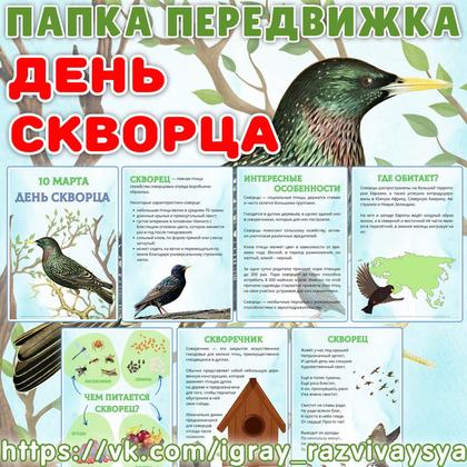 ПАПКА ПЕРЕДВИЖКА ДЕНЬ СКВОРЦА