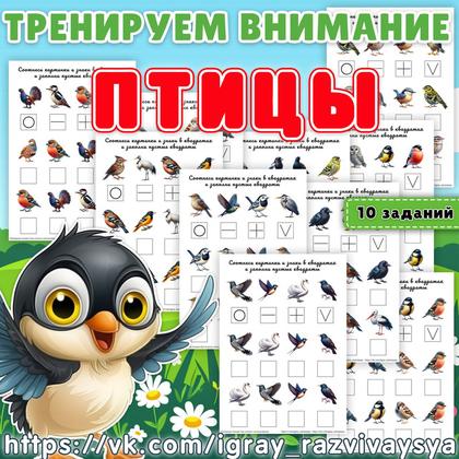 ТРЕНИРУЕМ ВНИМАНИЕ 2 ПТИЦЫ — внимание, нейро, птицы — для детского сада — Играй и Развивайся