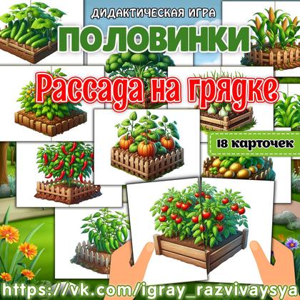 ПОЛОВИНКИ РАССАДА НА ГРЯДКАХ — внимание, дидактические игры, карточки — для детского сада — Играй и Развивайся
