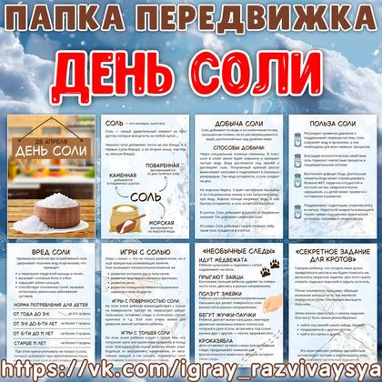 ПАПКА ПЕРЕДВИЖКА ДЕНЬ СОЛИ