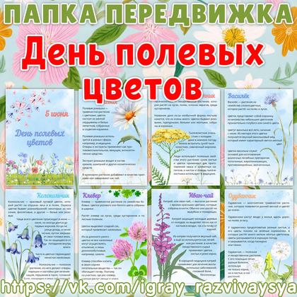 ПАПКА ПЕРЕДВИЖКА ДЕНЬ ПОЛЕВЫХ ЦВЕТОВ