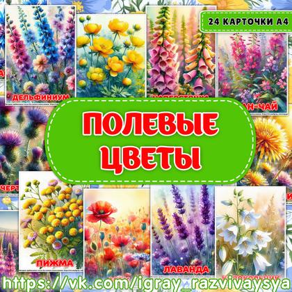 КАРТОЧКИ А4 ПОЛЕВЫЕ ЦВЕТЫ