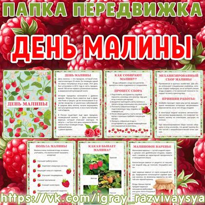 ПАПКА ПЕРЕДВИЖКА ДЕНЬ МАЛИНЫ