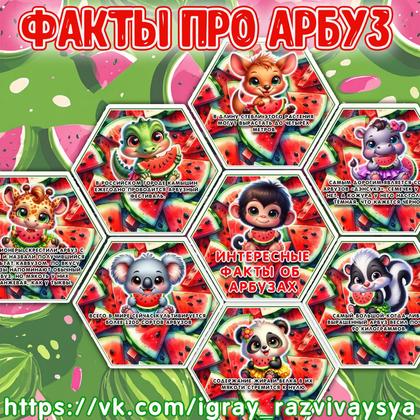ФАКТЫ АРБУЗ — арбуз, карточки, соты — для детского сада — Играй и Развивайся