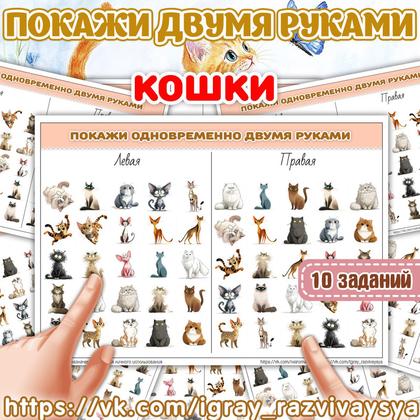 ПОКАЖИ ДВУМЯ РУКАМИ 2 КОШКИ — внимание, домашние животные, животные — для детского сада — Играй и Развивайся
