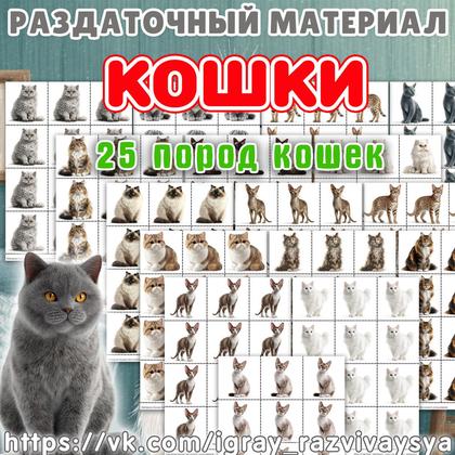 СЧЕТНЫЙ РАЗДАТОЧНЫЙ КОШКИ — домашние животные, животные, кошки — для детского сада — Играй и Развивайся
