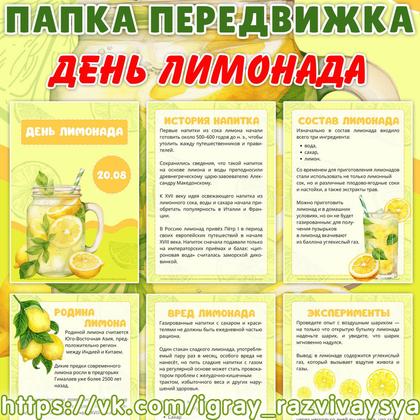 ПАПКА ПЕРЕДВИЖКА ДЕНЬ ЛИМОНАДА