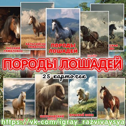 КАРТОЧКИ А4 ПОРОДЫ ЛОШАДЕЙ — карточки, лошади, оформление — для детского сада — Играй и Развивайся