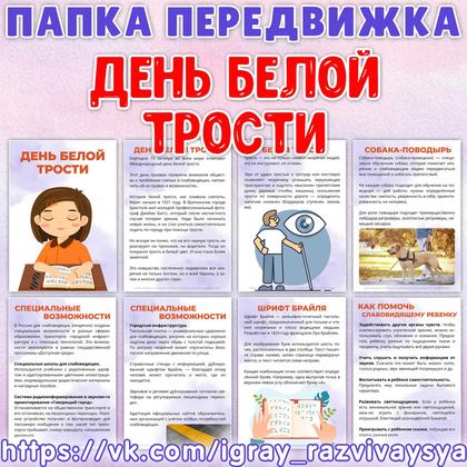 ПАПКА ПЕРЕДВИЖКА ДЕНЬ БЕЛОЙ ТРОСТИ