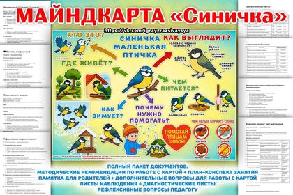 ИНТЕЛЛЕКТ-КАРТА СИНИЧКА