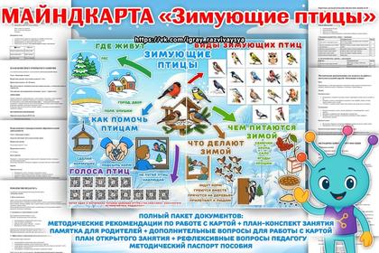 ИНТЕЛЛЕКТ-КАРТА ЗИМУЮЩИЕ ПТИЦЫ — 5-6, 5-7, 6-7 — для детского сада — Играй и Развивайся