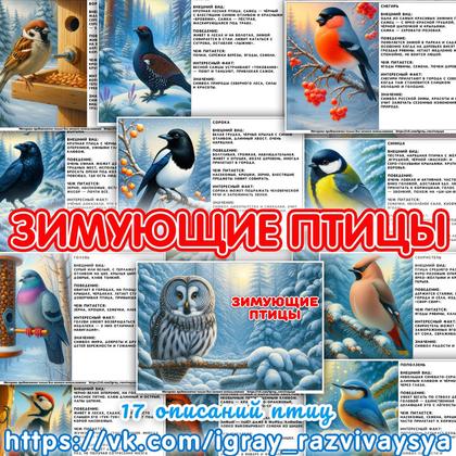 КНИЖКА ФАКТЫ ЗИМУЮЩИЕ ПТИЦЫ