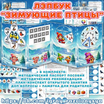 ЛЭПБУК ЗИМУЮЩИЕ ПТИЦЫ — зимующие птицы, логика, лэпбук — для детского сада — Играй и Развивайся