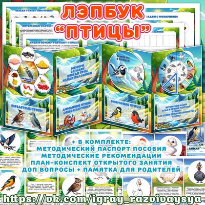 ЛЭПБУК ПТИЦЫ — внимание, логика, лэпбук — для детского сада — Играй и Развивайся