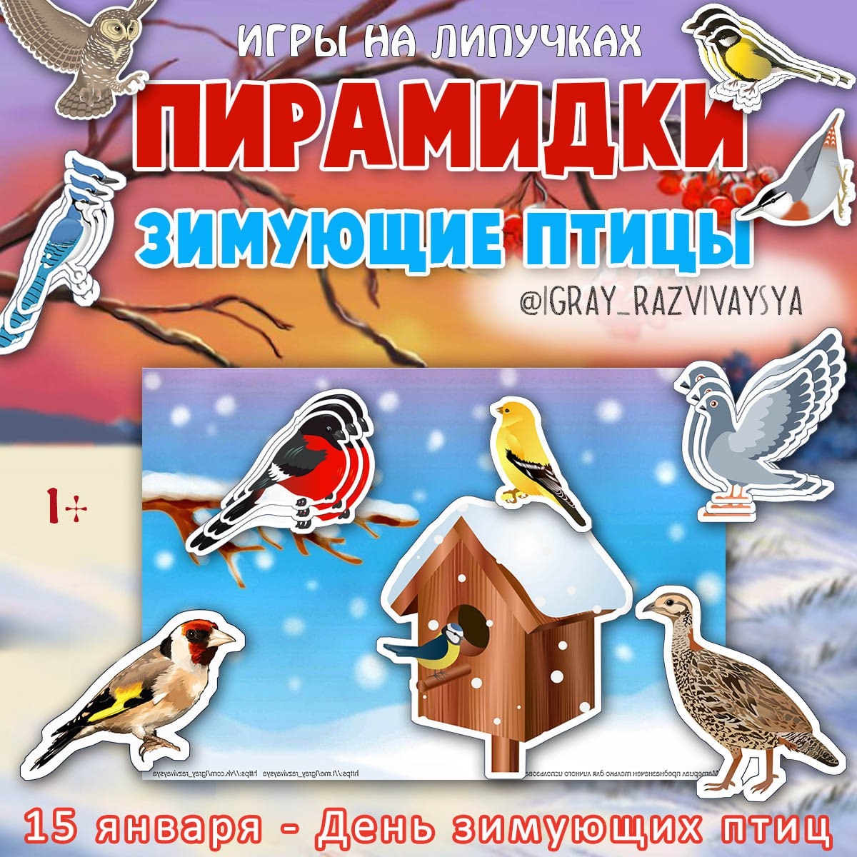 ПИРАМИДКИ ЗИМ ПТИЦЫ — птицы, зимующие птицы, пирамидки — для детского сада — Играй и Развивайся