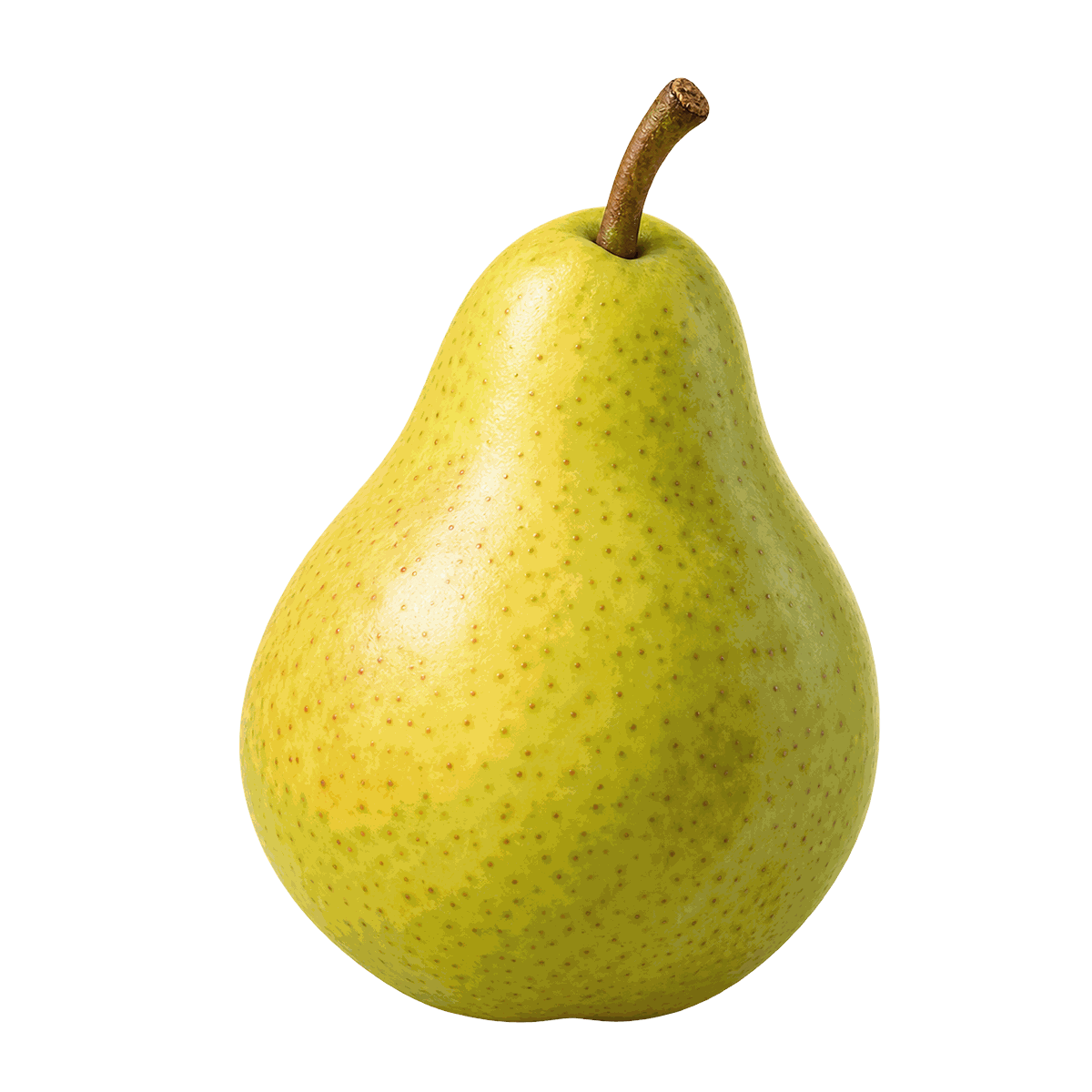 Груша