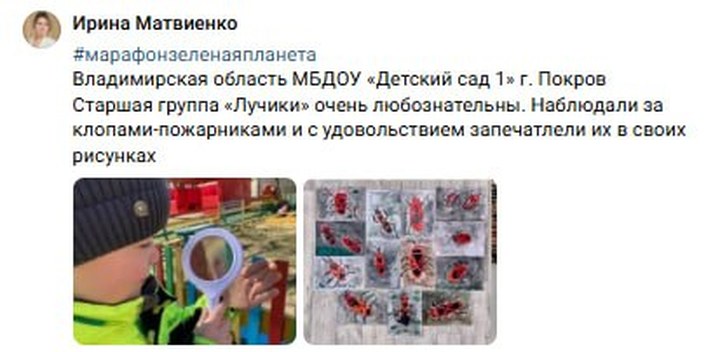Ирина Матвиенко